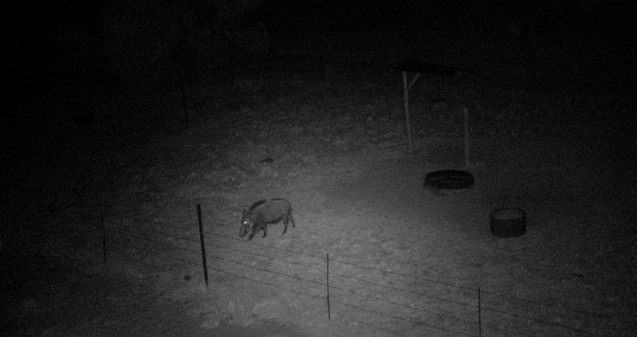 5 Bedroom Property for Sale in Swartruggens North West